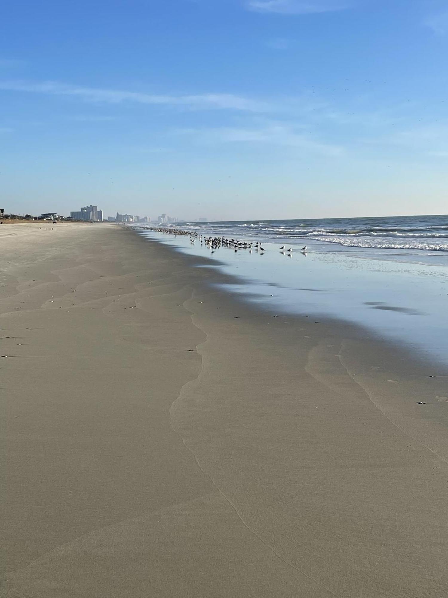 Blue Palmetto Vacation Rentals Myrtle Beach Kültér fotó