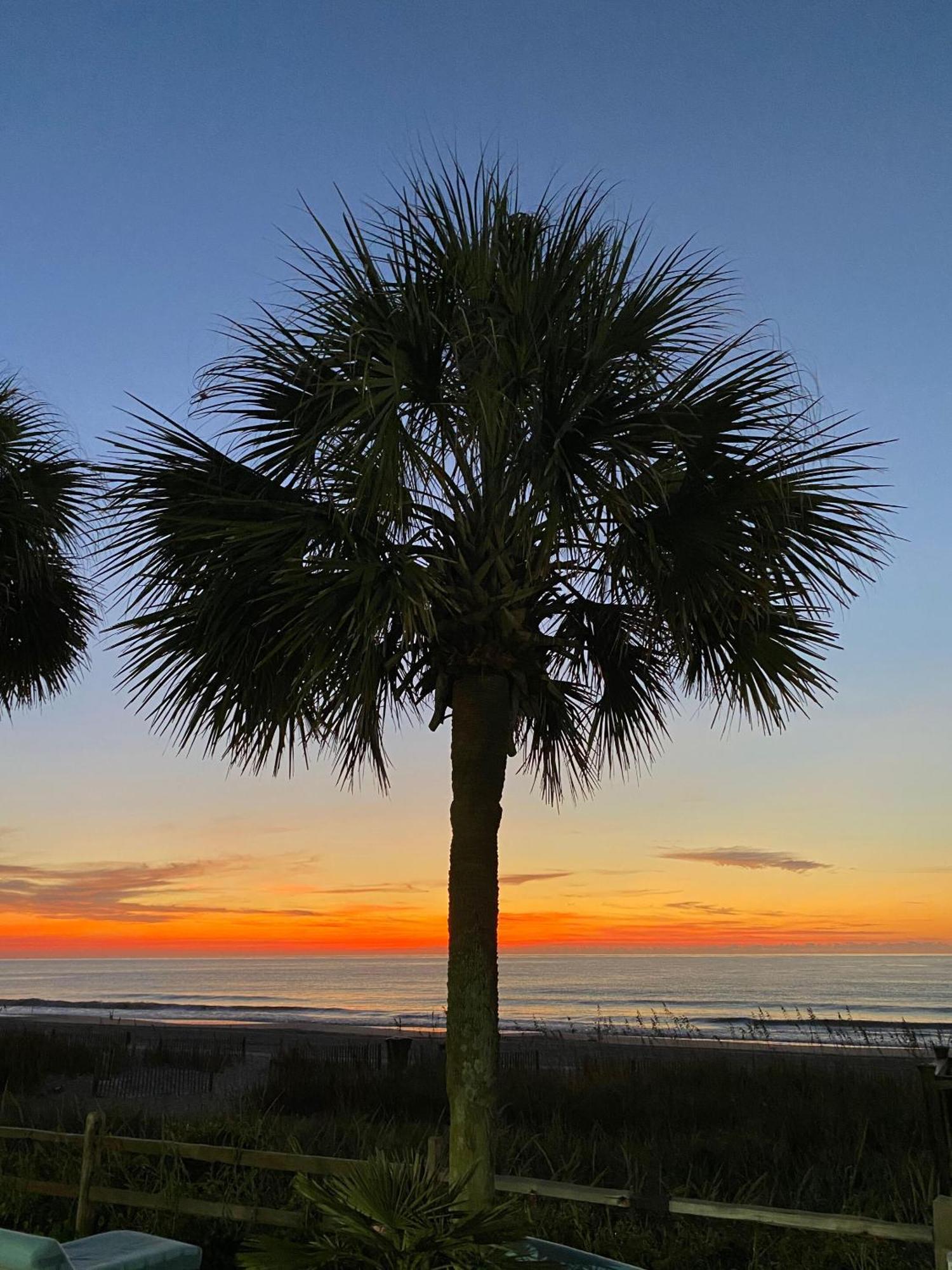 Blue Palmetto Vacation Rentals Myrtle Beach Kültér fotó